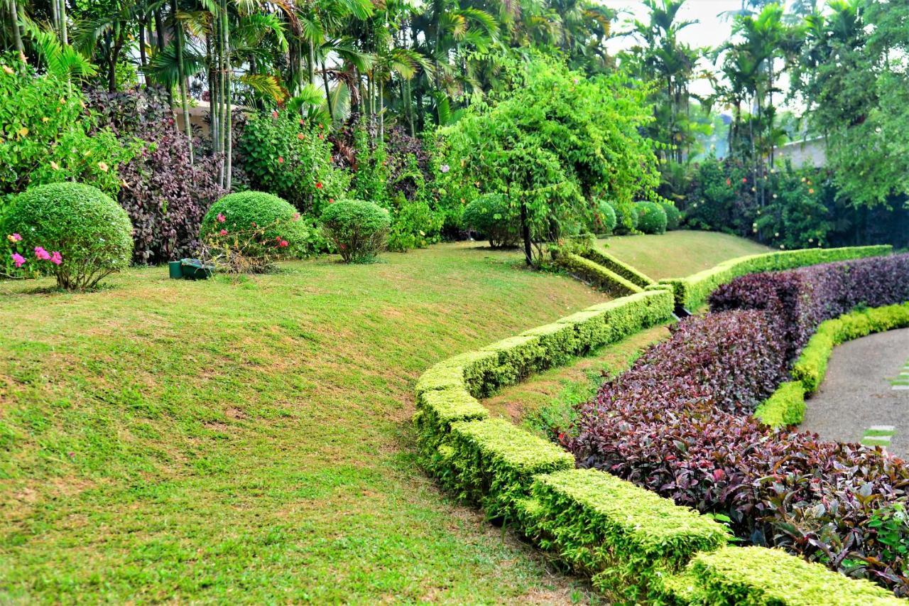 Camellia Dwelling Bed & Breakfast Hikkaduwa Dış mekan fotoğraf